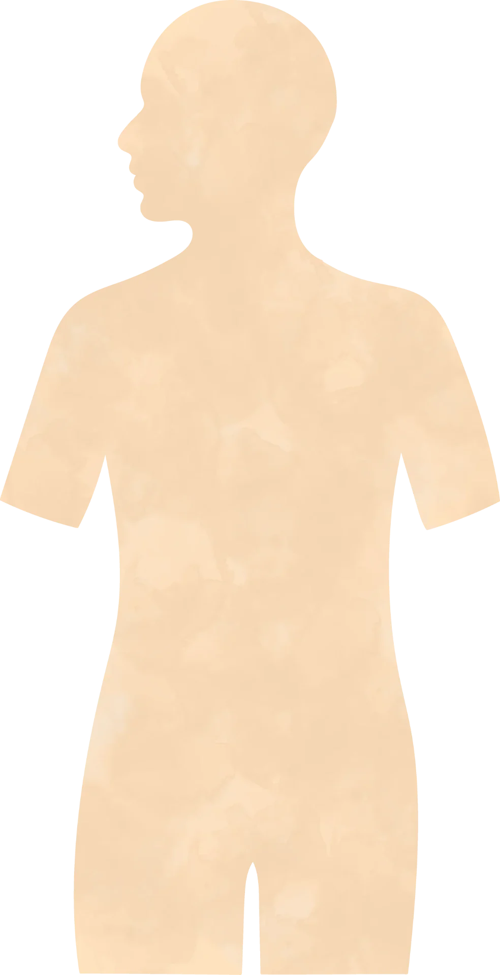 Soft watercolor silhouette of a human body on a white background
