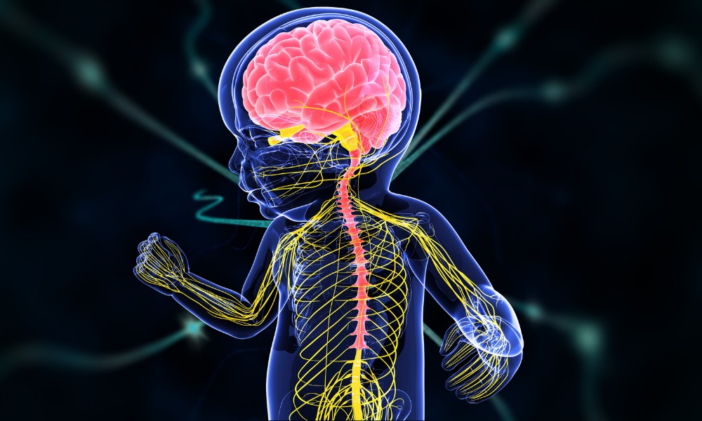 A 3D medical illustration of a child's nervous system, highlighting the brain and spinal cord in bright colors against a dark background
