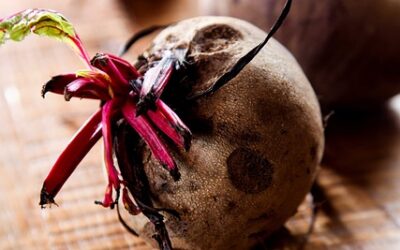 Beet and Orange Salad