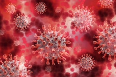 Ambushed by a Virus